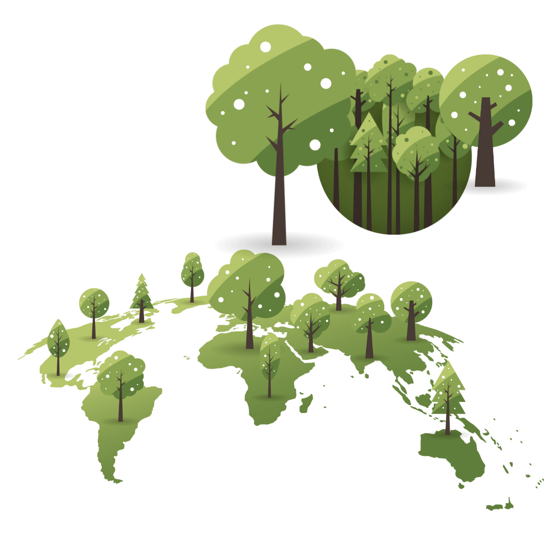 sustainability consultancy