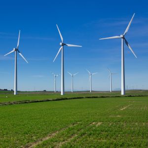 green energy consultant ireland