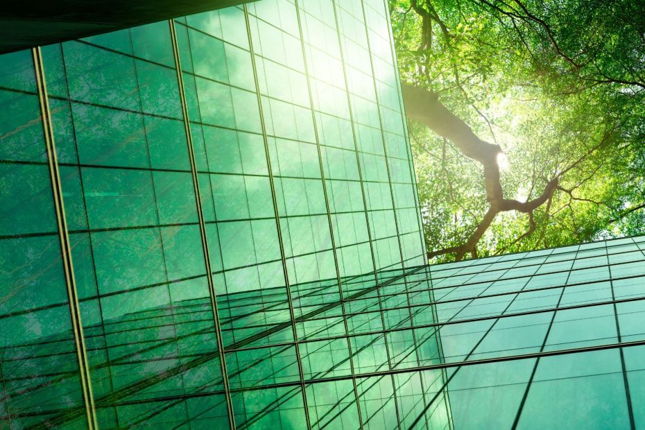 AI and sustainability carbon offsetting
