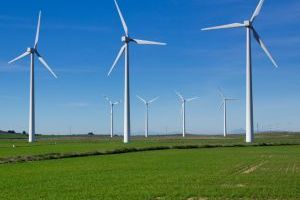 green energy consultant ireland