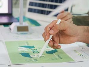 esg strategy consultant belfast