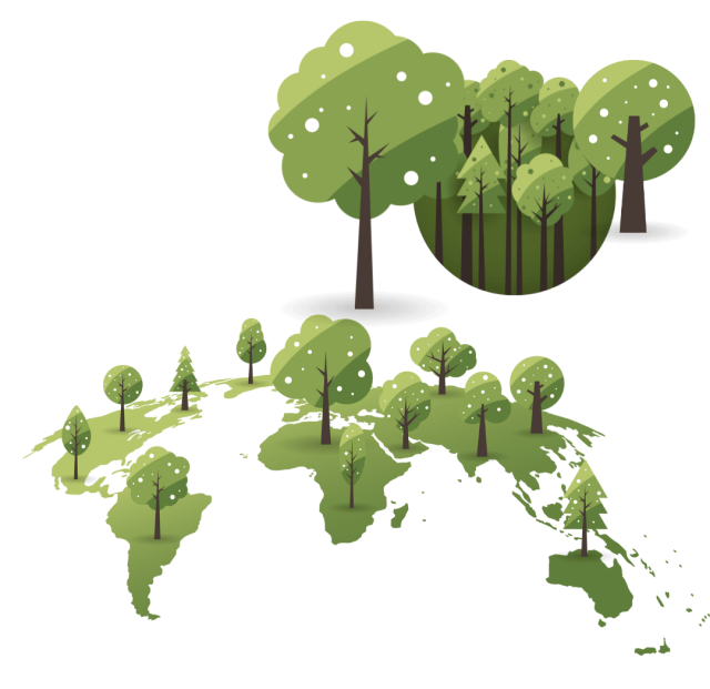 sustainability consultancy