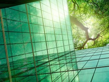 AI and sustainability carbon offsetting